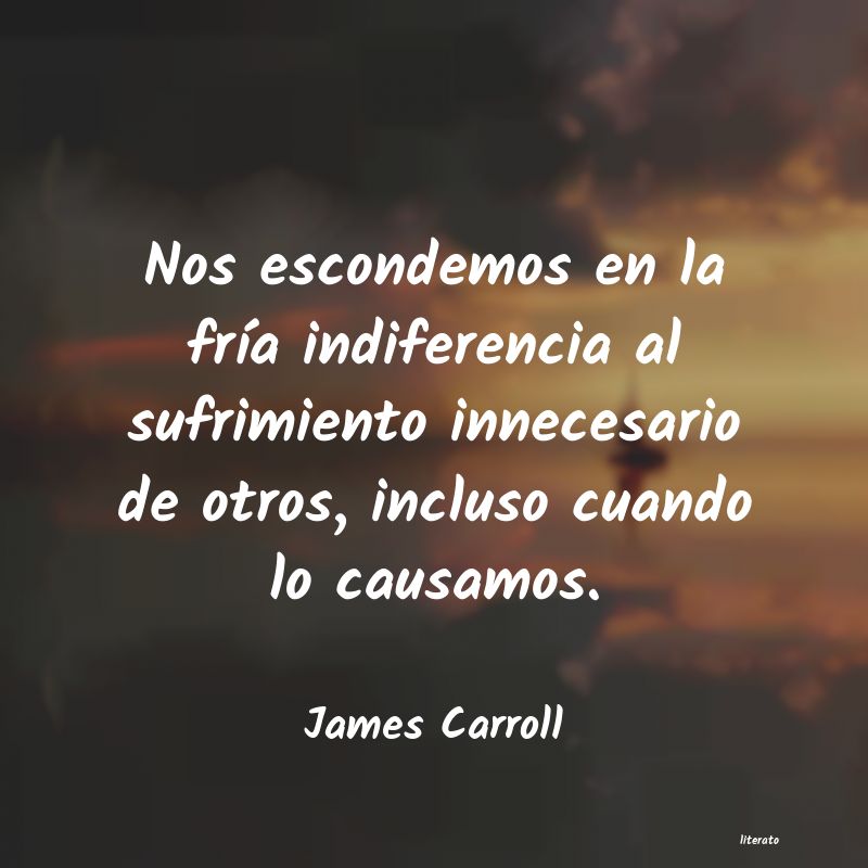 Frases de James Carroll