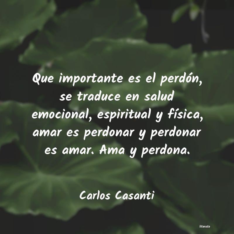 Frases de Carlos Casanti