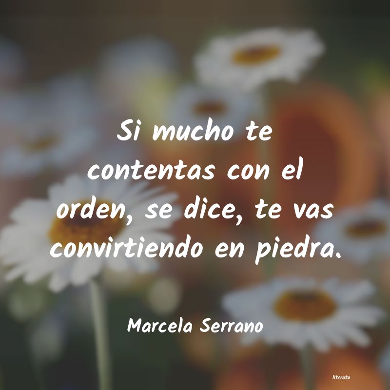 Frases de Marcela Serrano