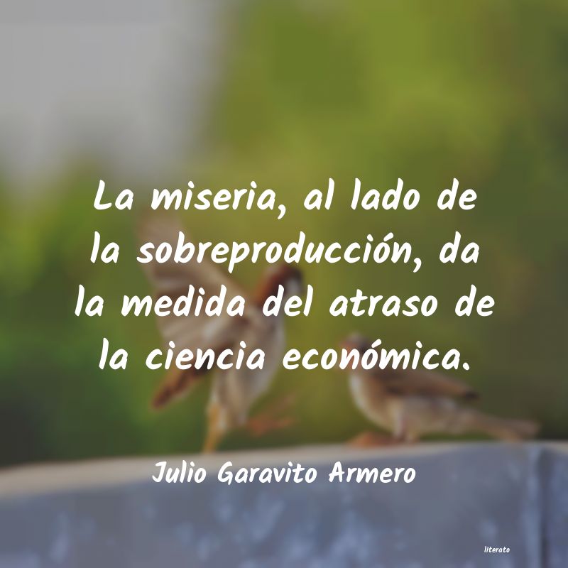Frases de Julio Garavito Armero