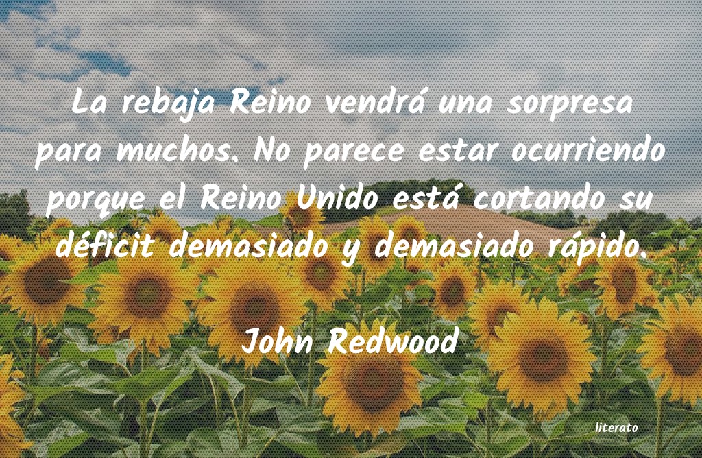 Frases de John Redwood