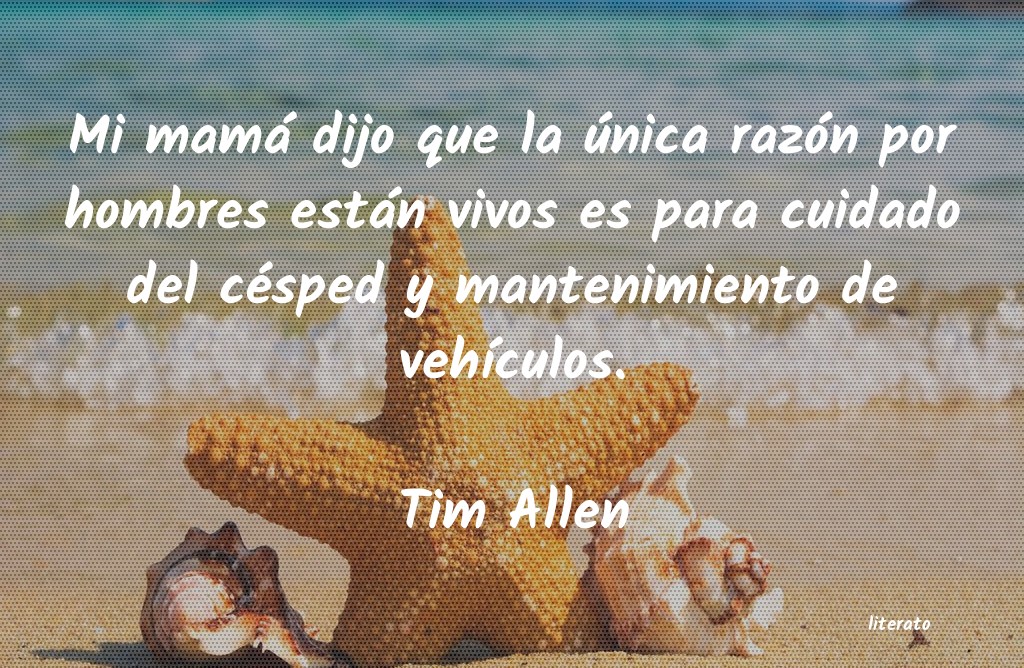 Frases de Tim Allen