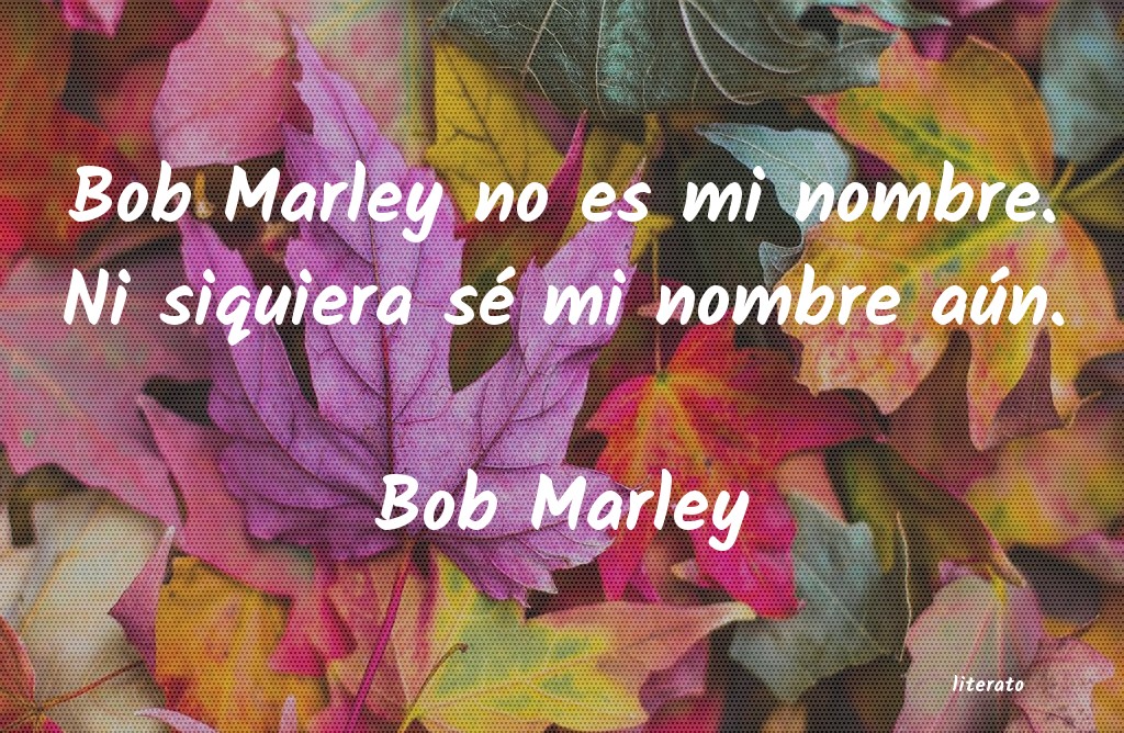 frases de bob marley en castellano