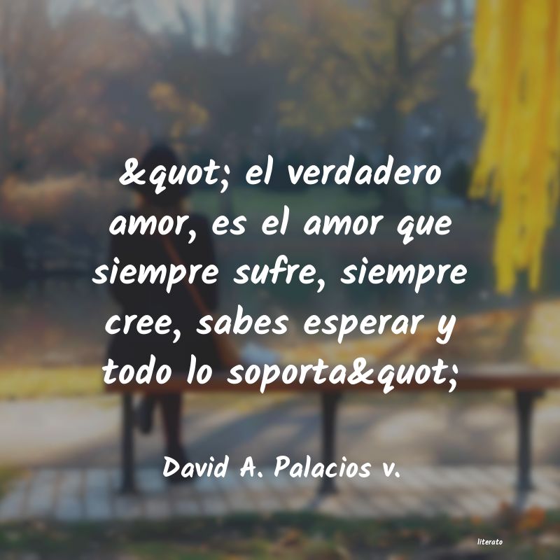 Frases de David A. Palacios v.