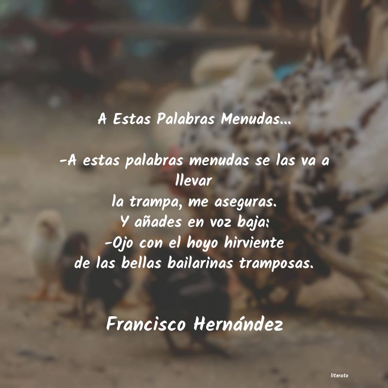 Frases de Francisco Hernández