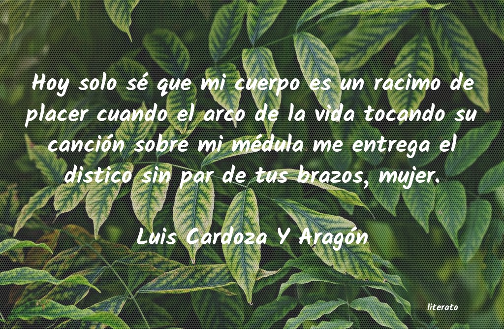 Frases de Luis Cardoza Y Aragón