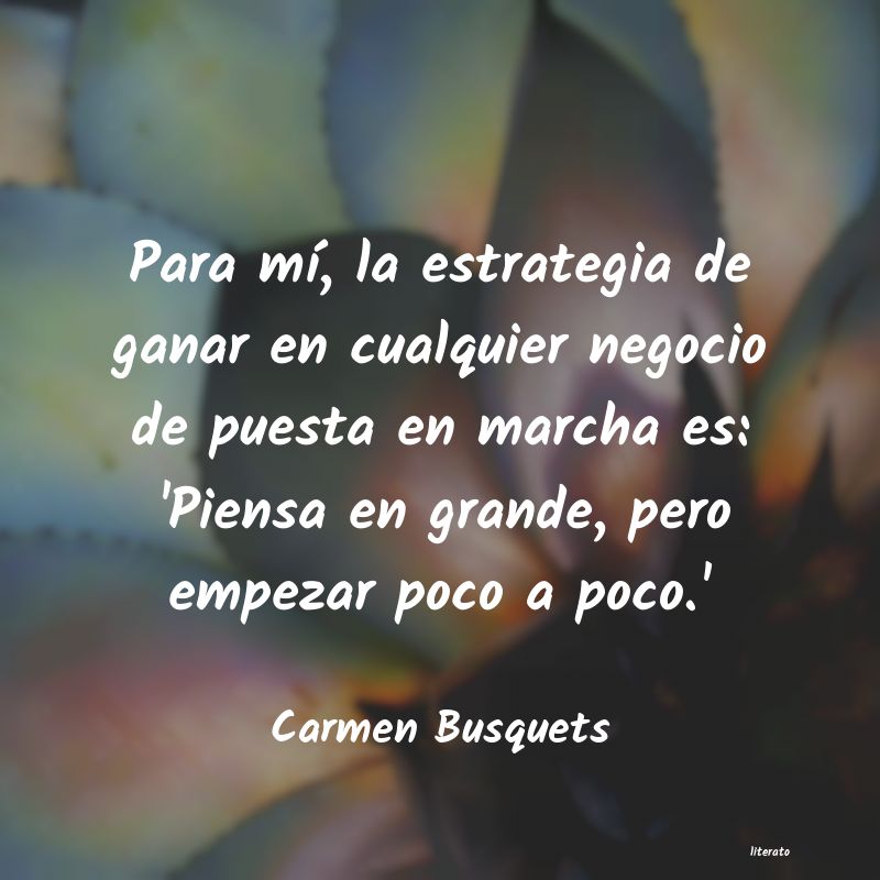 Frases de Carmen Busquets