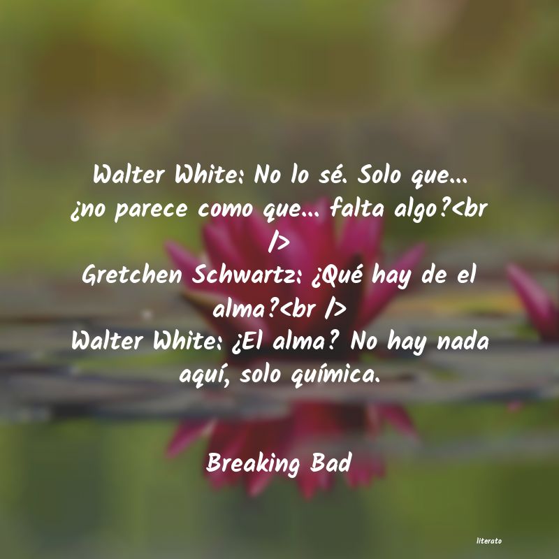 Frases de Breaking Bad