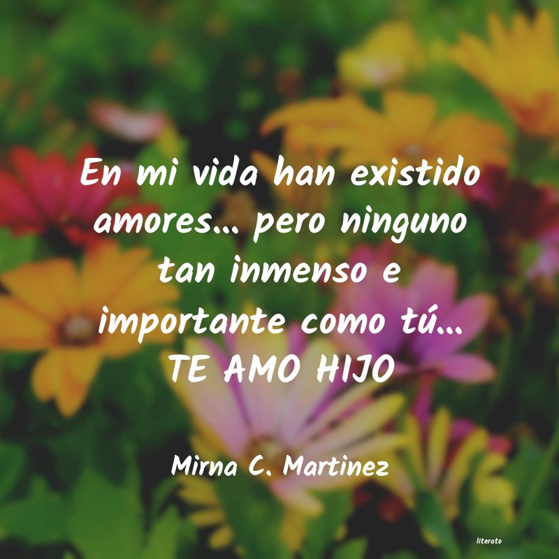 Frases de Mirna C. Martinez