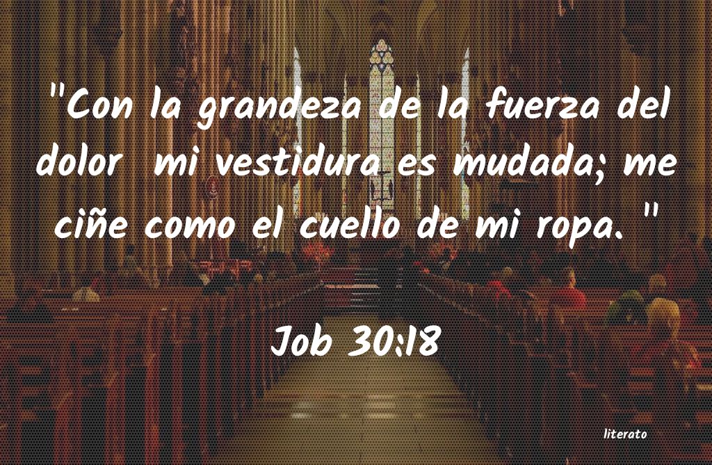 La Biblia - Job - 30:18