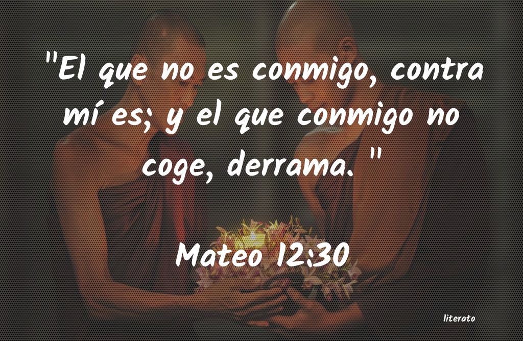 mateo 13 24 30 biblia católica