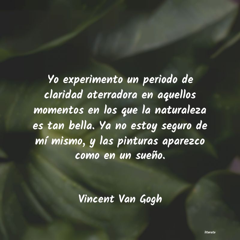 Vincent Van Gogh: Yo experimento un periodo de c
