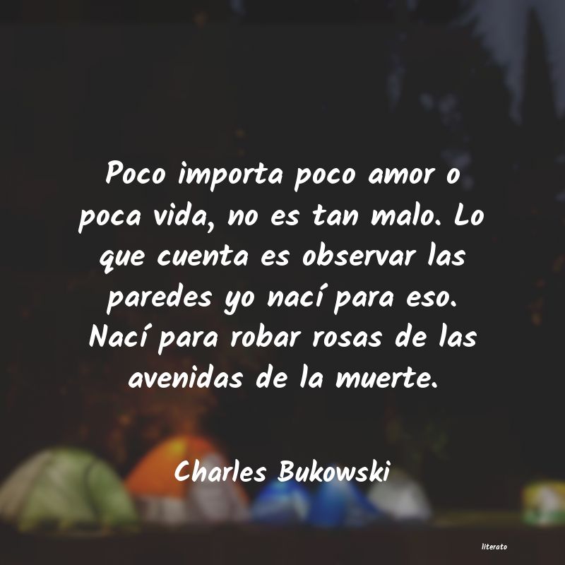 Frases de Charles Bukowski - literato (4)