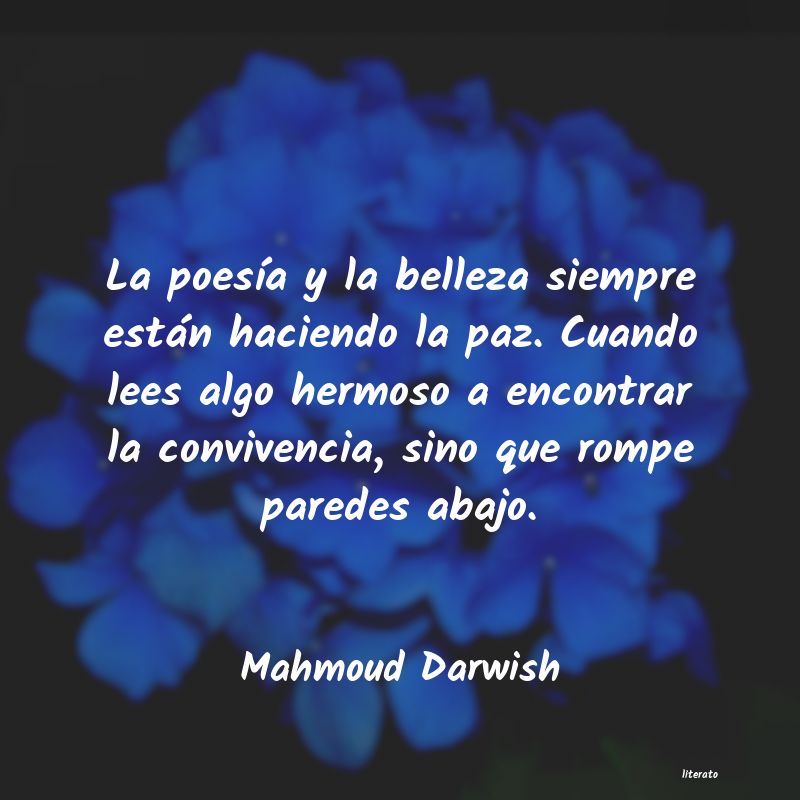 frases de convivencia