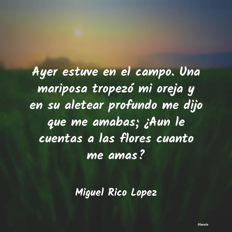 Miguel Rico Lopez: Ayer estuve en el campo. Una m