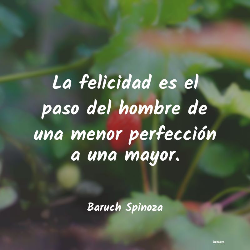 Baruch Spinoza: La felicidad es el paso del ho