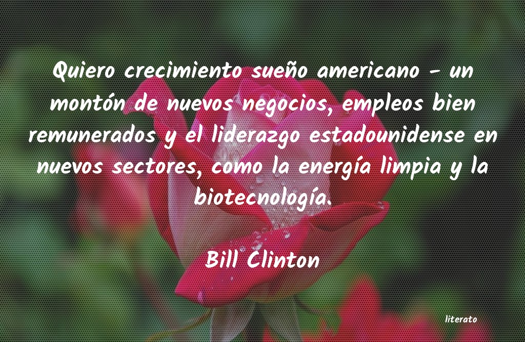 Frases de Bill Clinton - literato