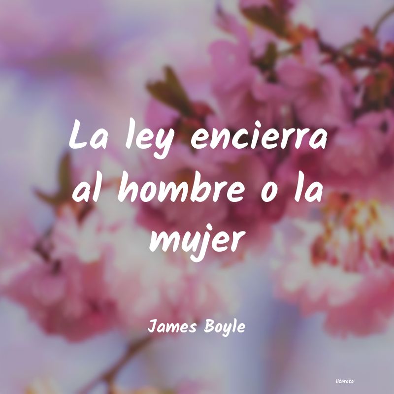 Frases de James Boyle