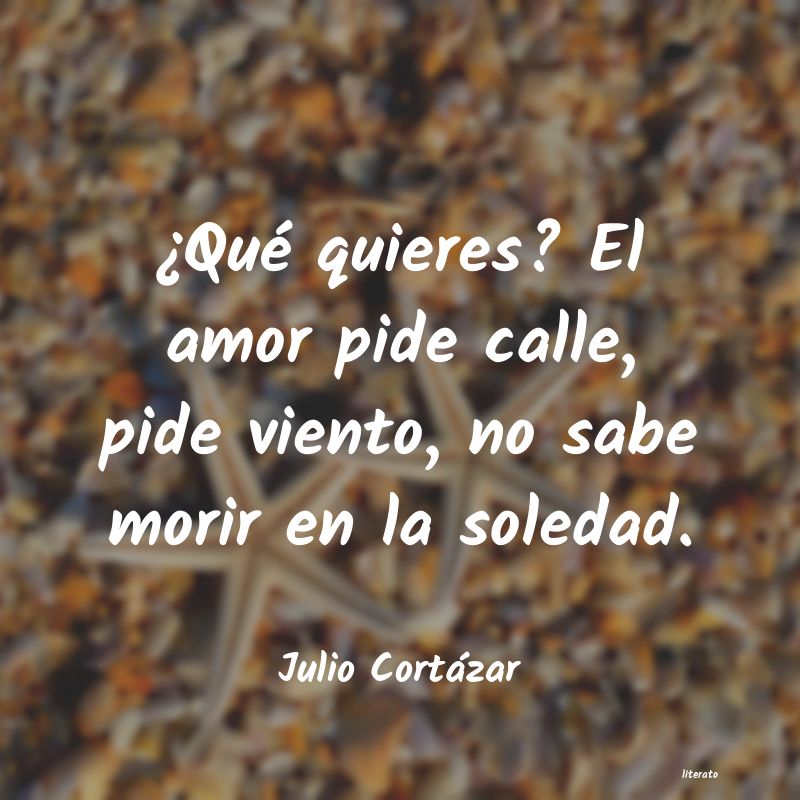 Julio Cortázar: ¿Qué quieres? El amor pide c