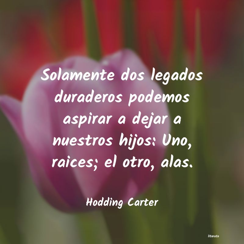 Frases de Hodding Carter